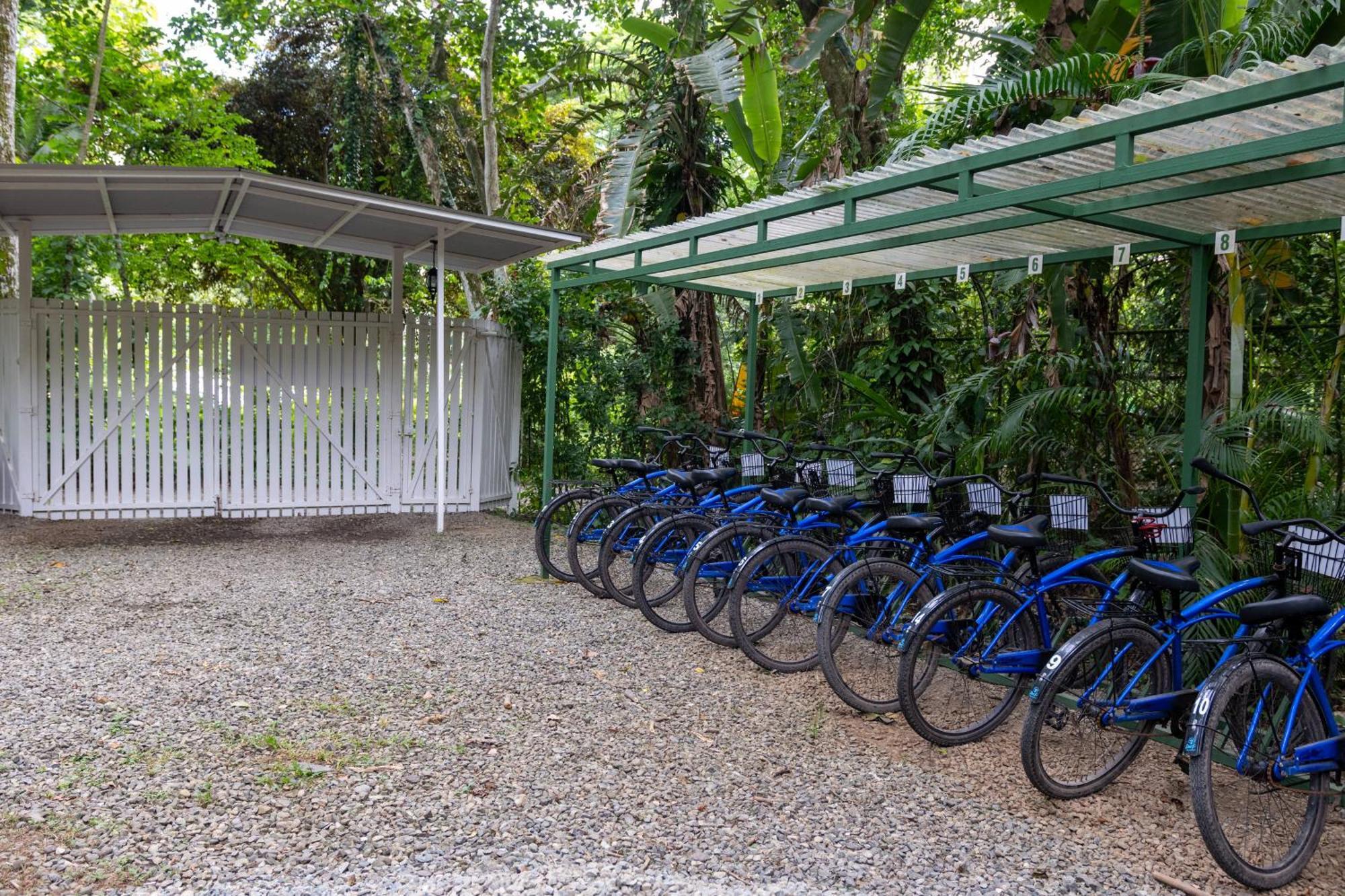 Jaguar Inn Bungalows Puerto Viejo de Talamanca 외부 사진