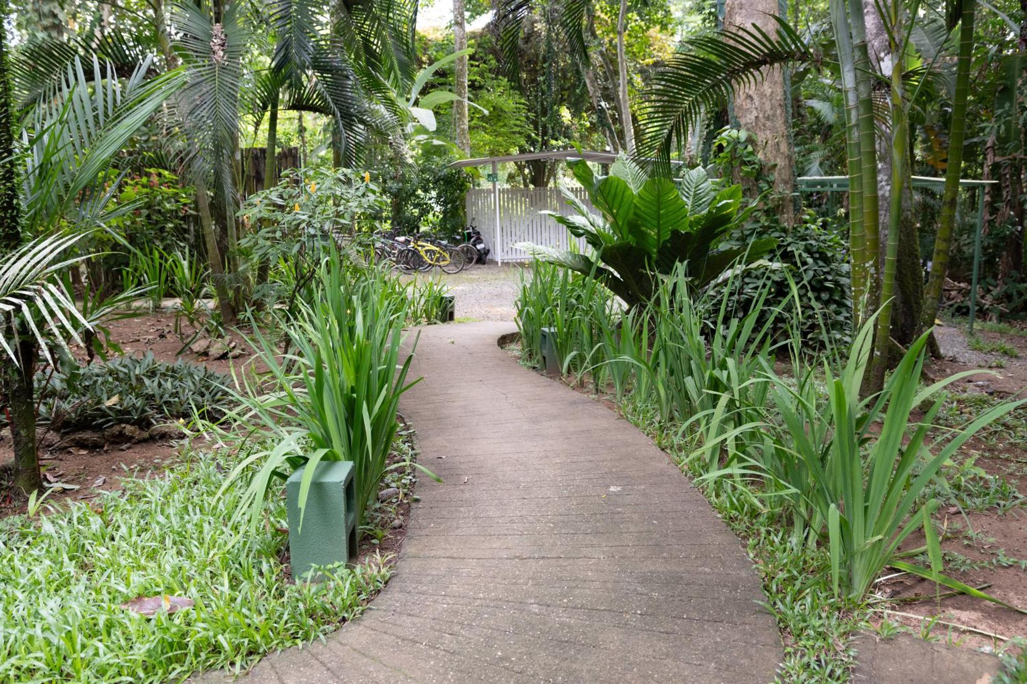 Jaguar Inn Bungalows Puerto Viejo de Talamanca 외부 사진