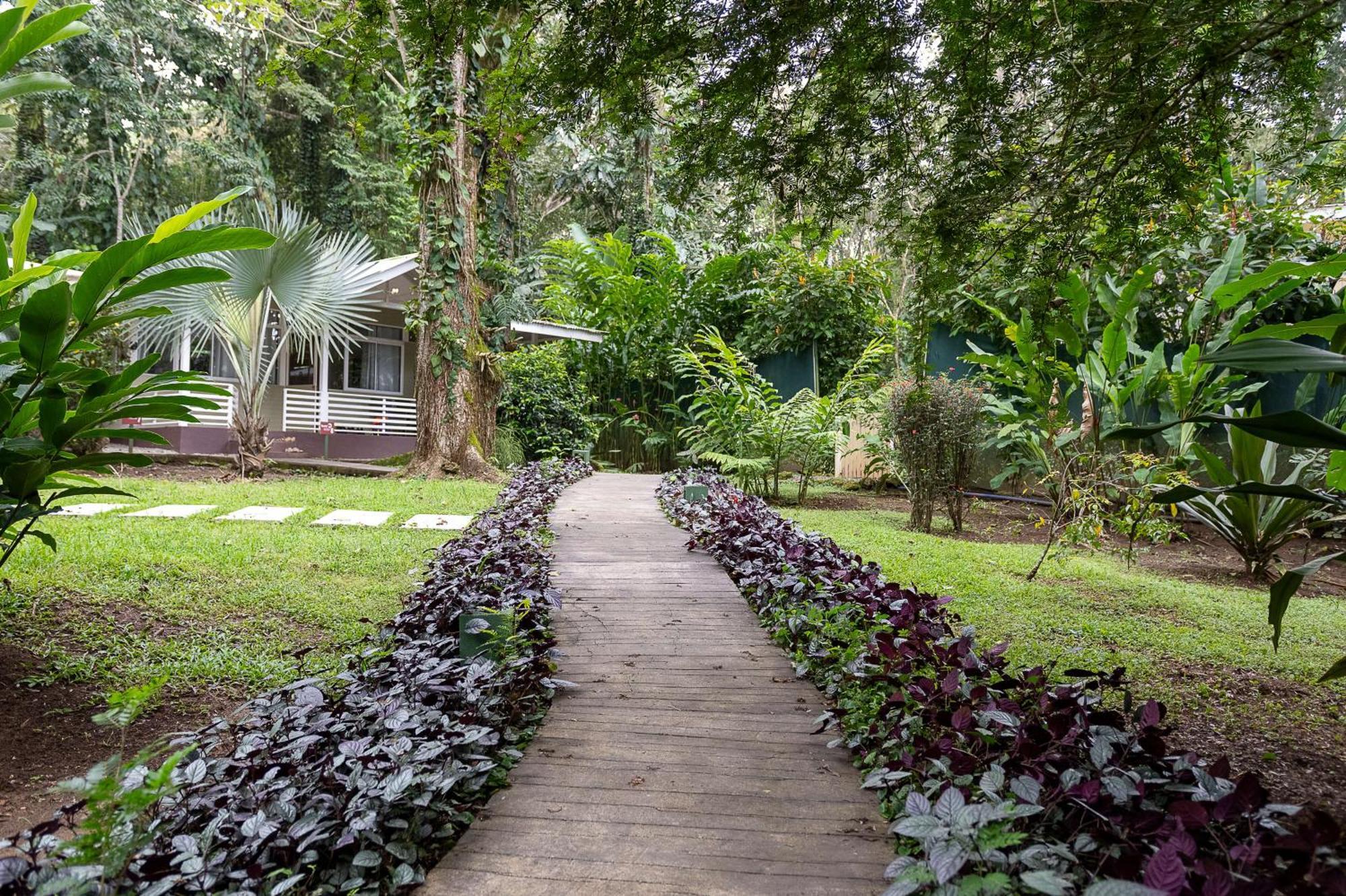 Jaguar Inn Bungalows Puerto Viejo de Talamanca 외부 사진